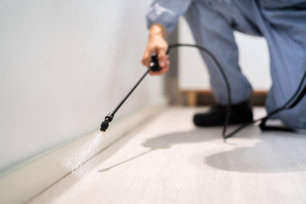 Licensed Bed Bug Control service in Santa Cruz, CA - Nex Pest Control