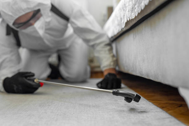 Professional Bed Bug Control technician working in Santa Cruz, CA
