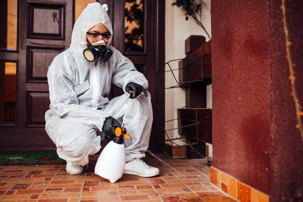 Reliable Bed Bug Control contractor in Santa Cruz, CA by Nex Pest Control