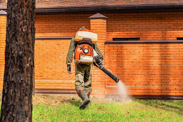 Trusted Bed Bug Control service in Santa Cruz, CA - Nex Pest Control